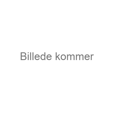 1-dagslinser
